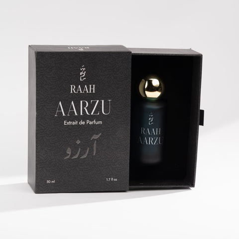 Aarzu - The Path of Desire